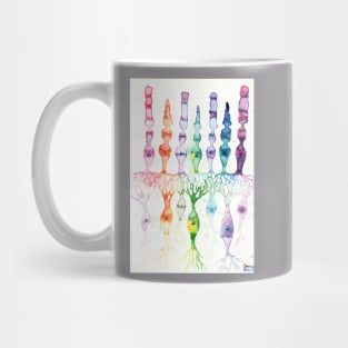 Cone cells rod cells and bipolar neurons in the retina Mug